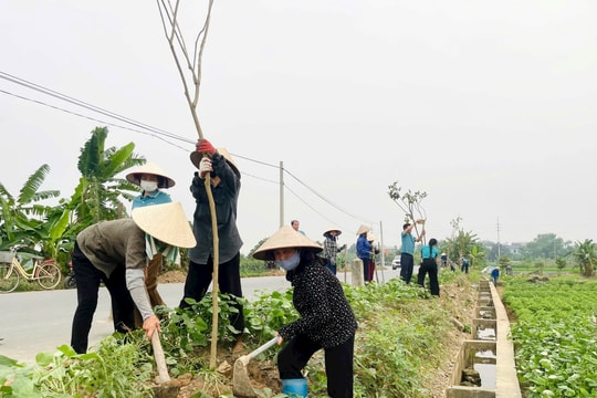 Hội Nông dân xã Hạ Bằng chung tay xây dựng nông thôn mới từ những "đường hoa"