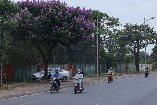 Hà Nội có khả năng xuất hiện lũ tiểu mãn vào cuối tháng 5-2026