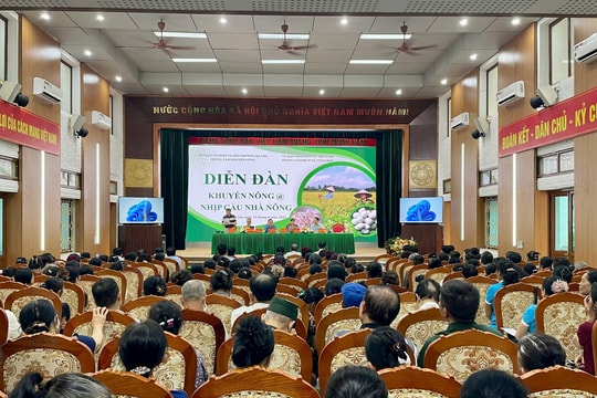 Thư Lâm chuyển hướng phát triển nông nghiệp công nghệ cao, gắn với thị trường