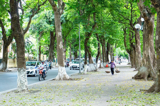 Bắc Bộ có mưa dông nhiều nơi, trời chuyển mát