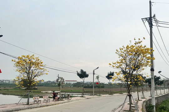 Tuyến đường “hoa” hơn 400 triệu đồng tại xã Mê Linh