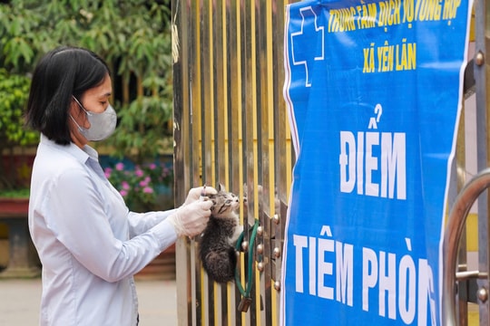 Chi cục Chăn nuôi Thủy sản và Thú y Hà Nội: Kiểm tra công tác phòng dịch cho đàn vật nuôi ở xã Yên Lãng