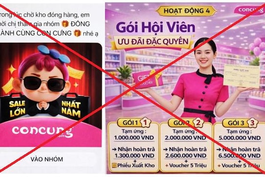 Người phụ nữ bị “bay” gần 1 tỷ đồng vì tham gia nhóm “Đồng hành cùng Con Cưng”