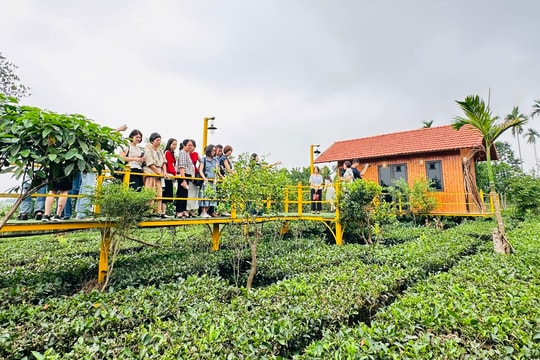 Tin tức đặc biệt trên ấn phẩm Hànộimới ngày 20-4-2026