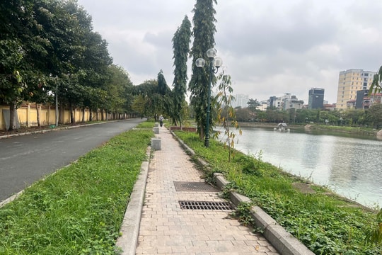 Đánh thức “lá phổi xanh” Mai Dịch: Từ ‘điểm đen’ xuống cấp đến bài toán giữ gìn không gian xanh