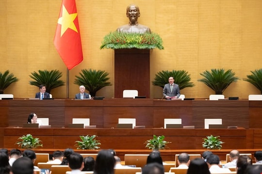 Nghị quyết thí điểm thực hiện chế định luật sư công có hiệu lực từ ngày 1-10-2026