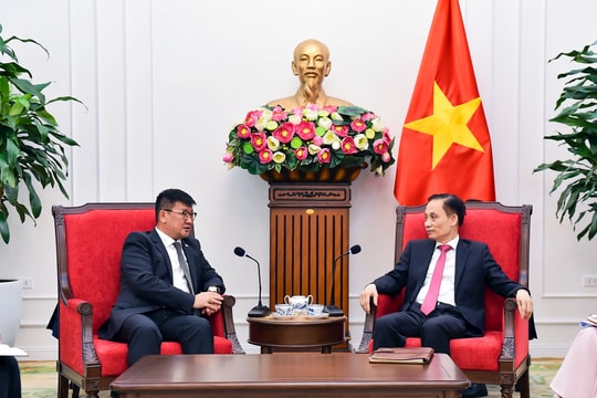 Hợp tác chặt chẽ để thúc đẩy hơn nữa quan hệ Đối tác toàn diện Việt Nam – Mông Cổ