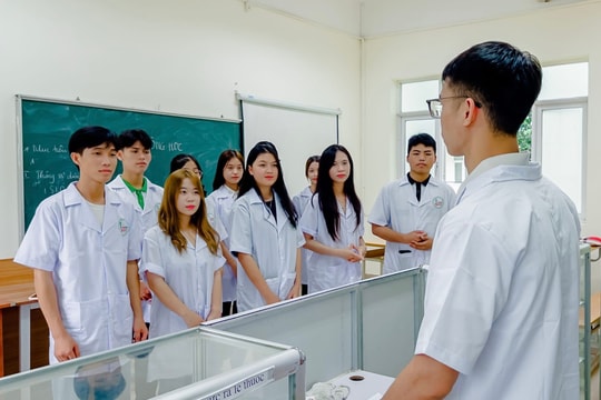 Khi trường học trở thành “cầu nối” với thị trường lao động