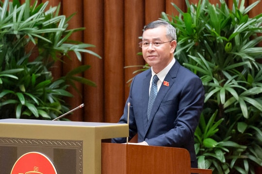 Bộ trưởng Ngô Văn Tuấn: Rà soát chính sách thu để tạo đà tăng trưởng kinh tế bền vững