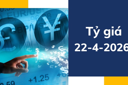 Tỷ giá USD ngày 22-4: USD ngân hàng biến động nhẹ