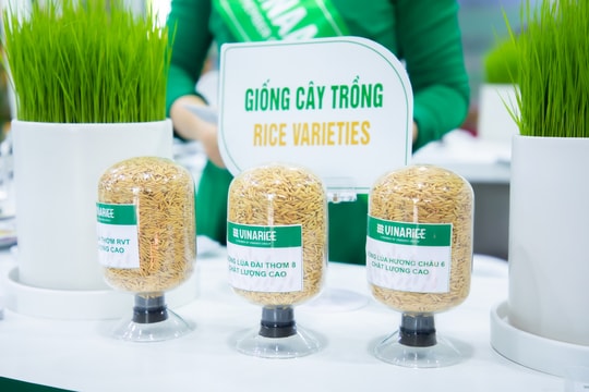 Bội thu quý I, doanh nghiệp nông nghiệp vẫn dè dặt với mục tiêu kinh doanh
