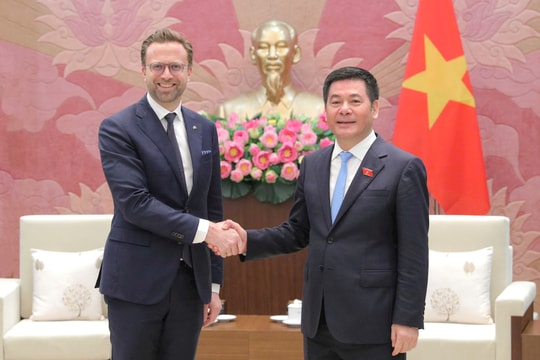 Hiệp định thương mại tự do Việt Nam - EFTA: Điều kiện nào để được phê chuẩn?