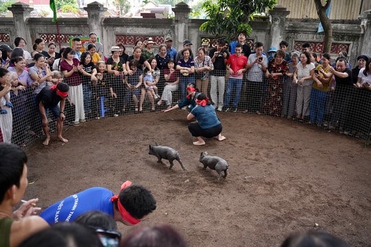 "Đánh thức" những trò chơi dân gian thuần Việt