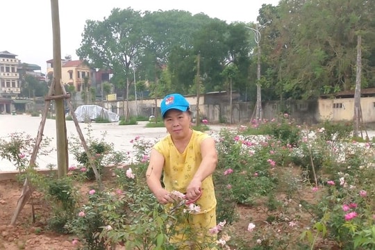 Lan tỏa phong trào trồng hoa, giữ sạch đường làng