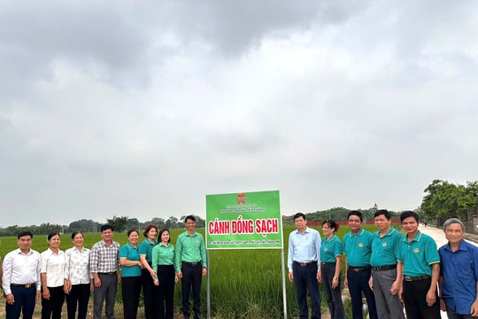 Lan tỏa mô hình "Cánh đồng sạch" tại xã Tiến Thắng