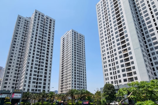 Vạch trần chiêu trò lừa bán “suất mua đất nội bộ giá rẻ”