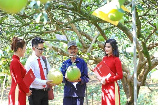 Chính sách tiền tệ “cân não” trước biến động toàn cầu