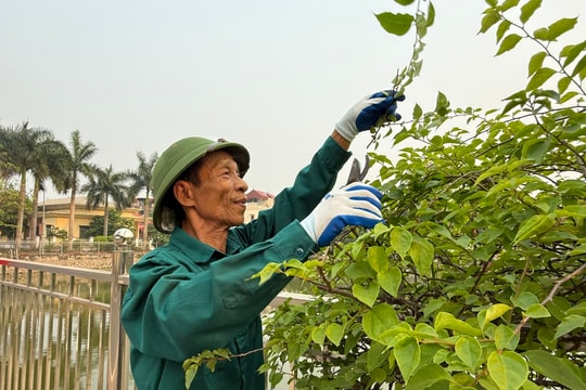 Những “ngọn cờ thầm lặng” trong bản tình ca xanh ở Liên Minh