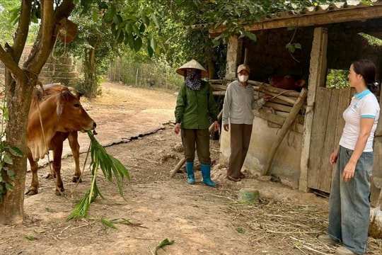 Nguồn vốn tín dụng chính sách - "Điểm tựa" kinh tế cho người dân Bất Bạt