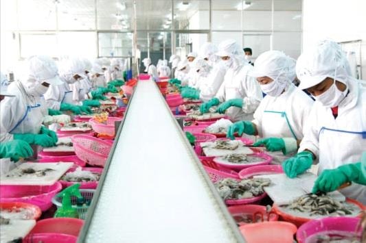 Nông nghiệp Việt Nam vững vàng trước “sóng gió”