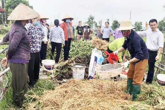 Phụ phẩm nông nghiệp - “kho báu” sinh học bị lãng phí