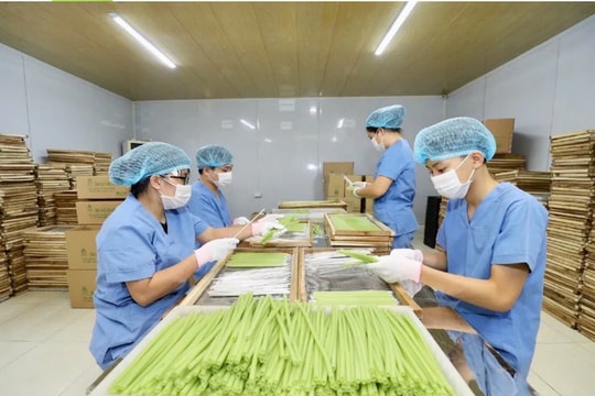 Hà Nội có thêm 9 sản phẩm OCOP đạt 5 sao cấp quốc gia