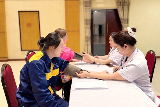 Tin tức đặc biệt trên ấn phẩm Hànộimới ngày 1-5-2026