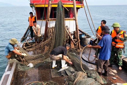 Quyết liệt gỡ “thẻ vàng” IUU cho thuỷ sản Việt Nam