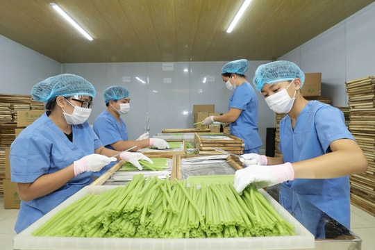 Xã Thiên Lộc thúc đẩy phát triển kinh tế xanh