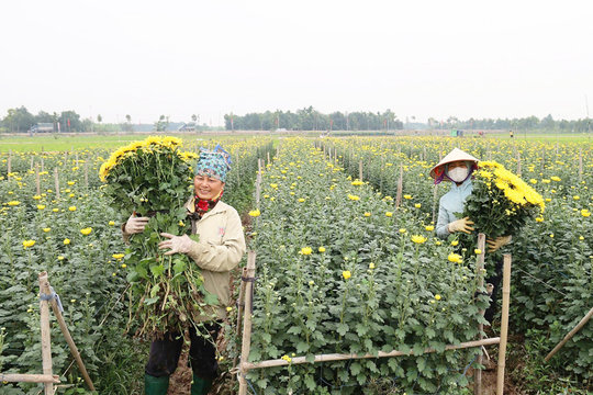 Hát Môn khơi thông nguồn lực cho phát triển