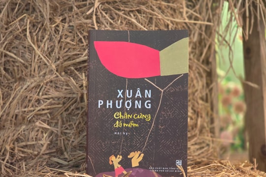 Hành trình theo đuổi ước mơ giữa bom đạn