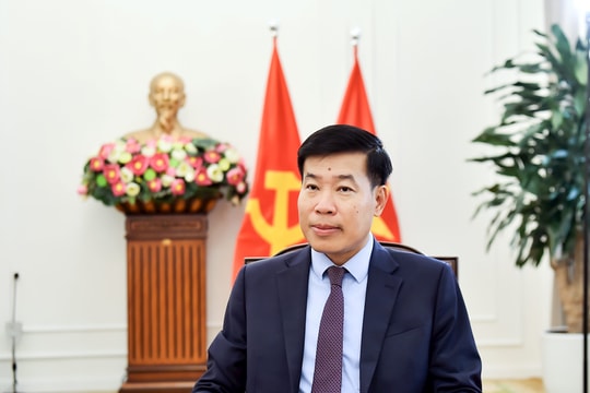 Kiến tạo xung lực mới cho quan hệ Việt Nam - Ấn Độ