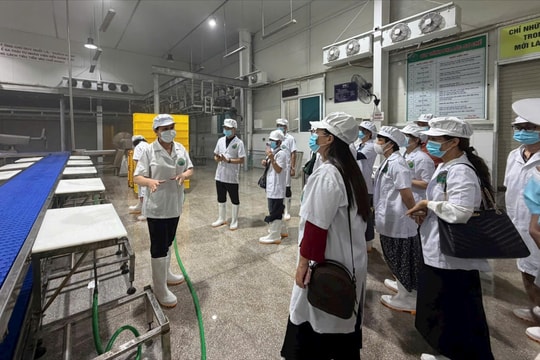 Phường Văn Miếu - Quốc Tử Giám siết kỷ cương an toàn thực phẩm từ các điểm nguy cơ cao