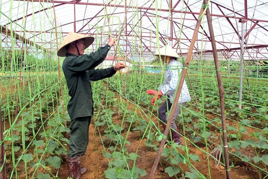 Phát triển kinh tế xanh, kinh tế tuần hoàn: "Đòn bẩy" thiết yếu kiến tạo Thủ đô phát triển bền vững