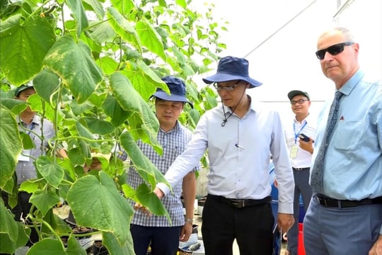 Israel mang công nghệ nông nghiệp hiện đại đến xã Hồng Sơn
