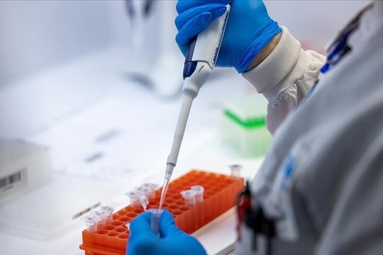 Ba ca tử vong do virus Hanta, WHO nhận định nguy cơ lây lan thấp