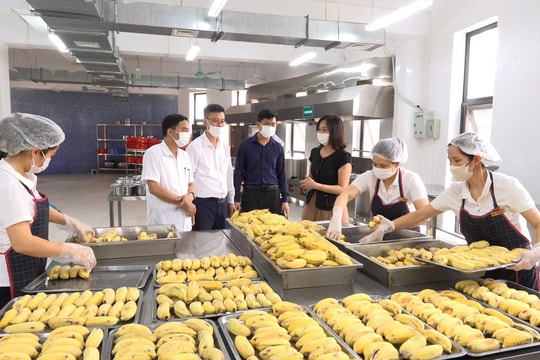 Xã Mê Linh siết chặt an toàn thực phẩm vì sức khỏe cộng đồng