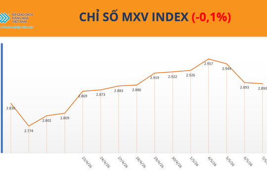 Ca cao nối dài đà tăng, MXV-Index giằng co