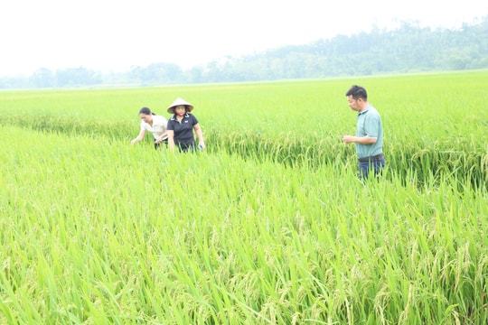 Yên Xuân sẵn sàng cho công tác phòng, chống thiên tai 2026