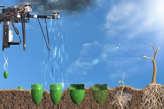 Sinh viên Trường Đại học Công nghệ chế tạo drone gieo hạt phục hồi rừng