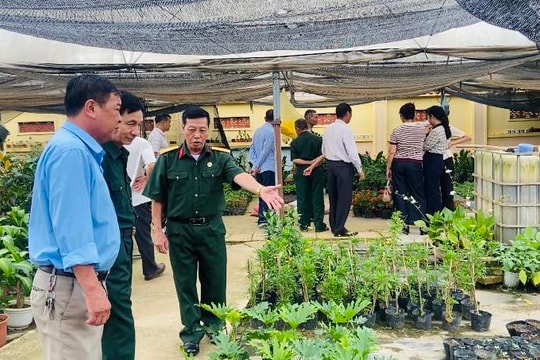 Phúc Thọ phát huy kinh tế cựu chiến binh từ mô hình liên kết