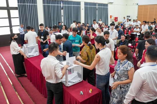 Xã Hưng Đạo đấu giá thành công 19 lô đất dự án ĐG31