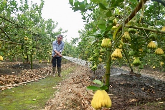 Hà Nội: Từ ngày 18-5, cấp xã được cấp phép xây dựng công trình trên đất nông nghiệp