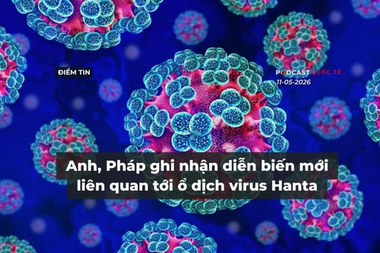 [Podcast] Tin tức thế giới ngày 11-5: Anh, Pháp ghi nhận diễn biến mới liên quan tới ổ dịch virus Hanta