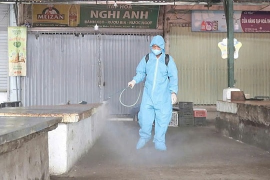 Xã Phú Xuyên: Tập trung phòng, chống dịch tả lợn Châu Phi