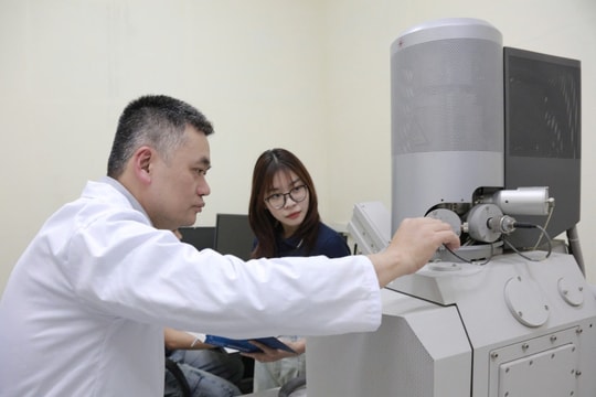 Chuẩn hóa vườn ươm: Bước đi cần thiết để nâng chất lượng hệ sinh thái khởi nghiệp
