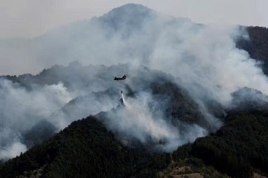 Thế giới đối mặt nguy cơ cháy rừng lịch sử vì biến đổi khí hậu và El Nino