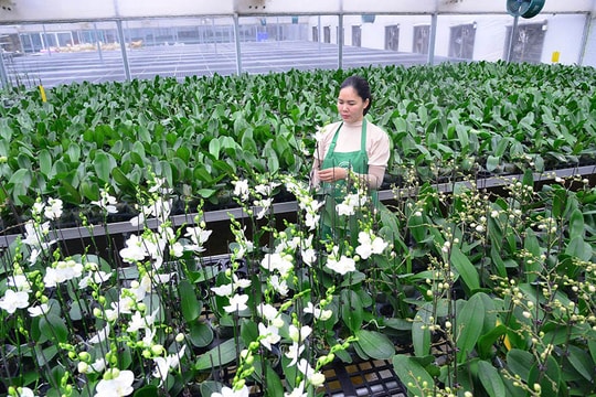 Luật Thủ đô năm 2026: Thí điểm cơ chế, chính sách mới
