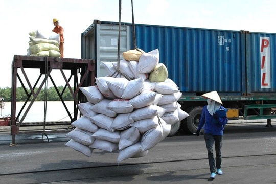 Bước ngoặt mới của xuất khẩu gạo Việt Nam