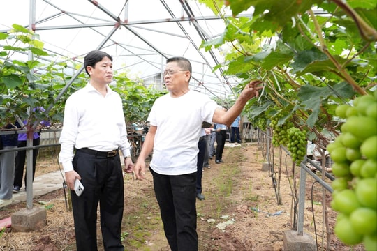 Xã Thuận An: Gỡ khó từ đồng ruộng, tiếp sức cho những mô hình nông nghiệp mới
